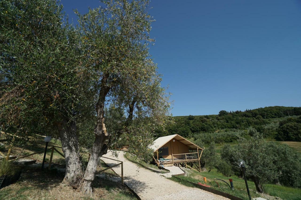 Podere Cortesi Agriturismo Molinaccio Santa Luce Bagian luar foto